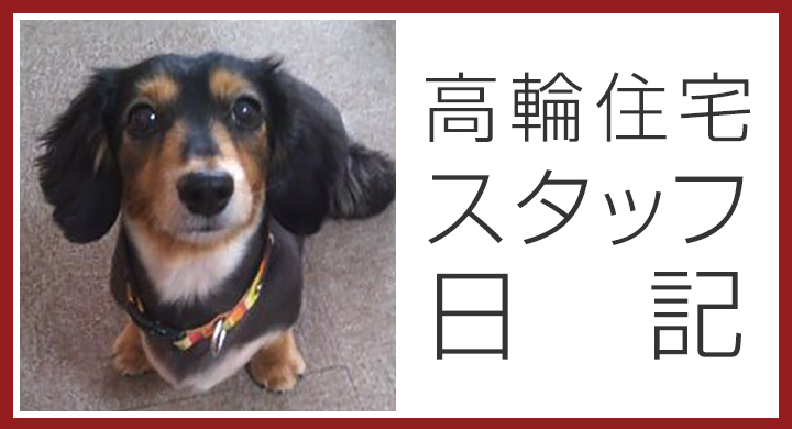 高輪住宅 スタッフ日記